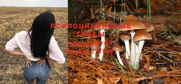 ГАЛЛЮЦИНОГЕННЫЕ ГРИБЫ Нефтегорск