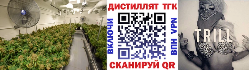 Дистиллят ТГК THC oil  мега ССЫЛКА  Терек 