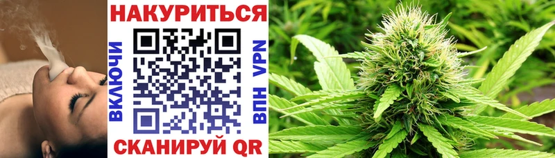 дарнет шоп  Терек  МАРИХУАНА планчик 